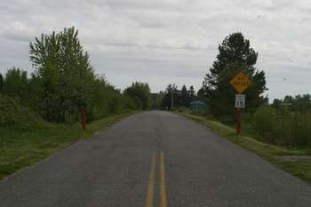 View looking into the site from Alderson